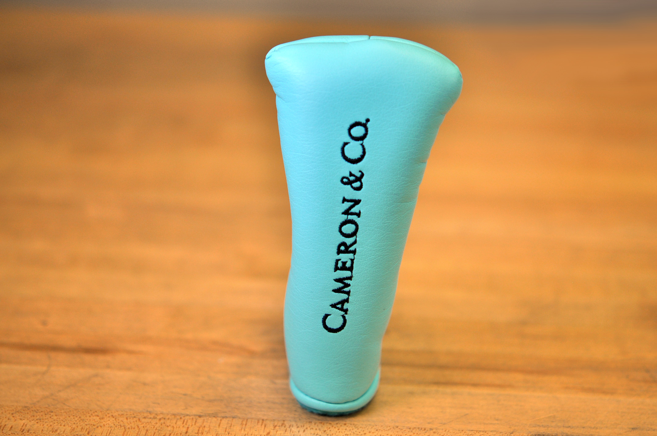 Putter Details Scotty Cameron