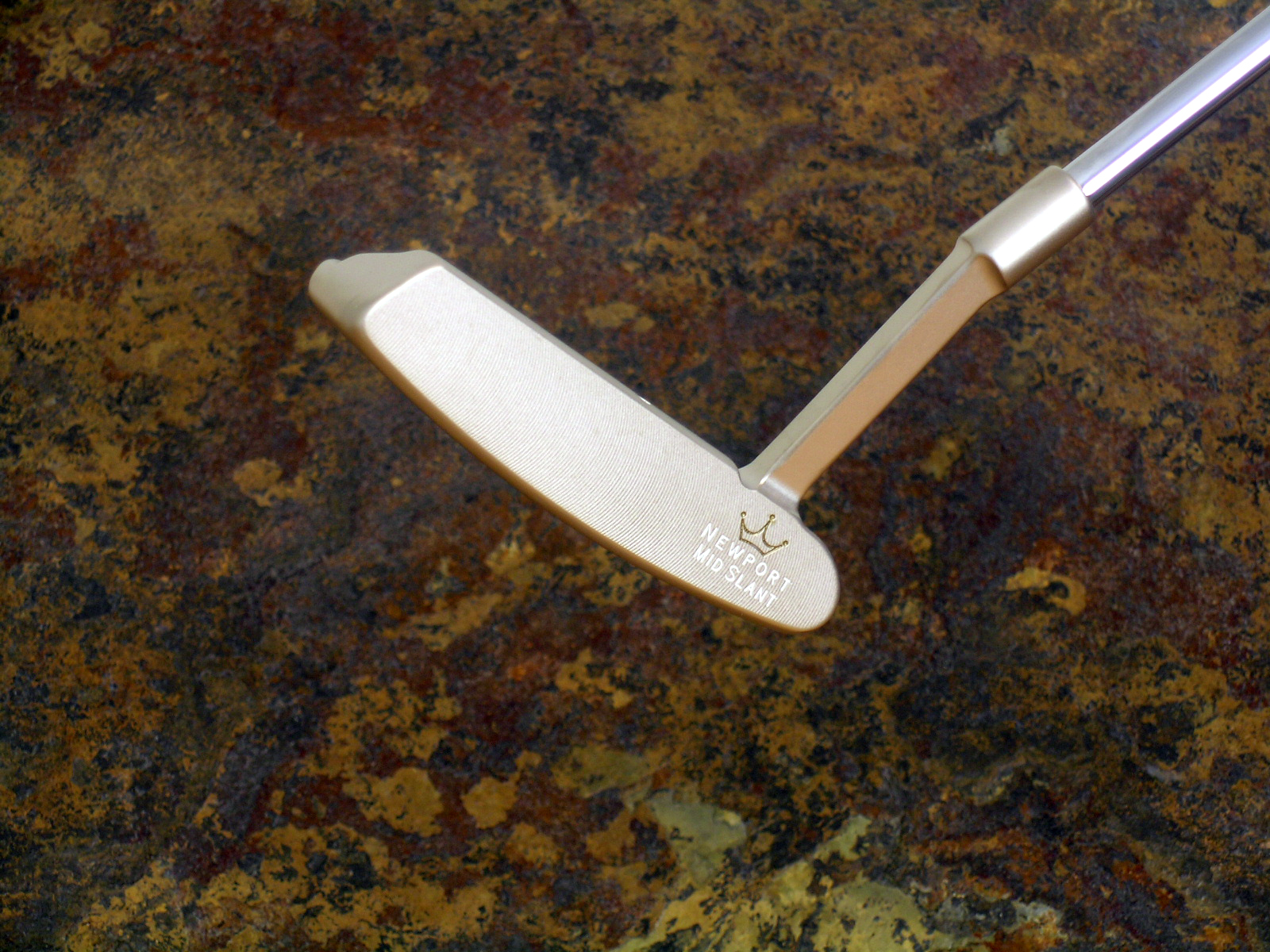 A003169, photo 1