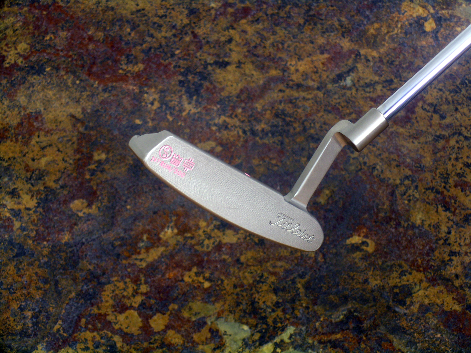 A003825, photo 1