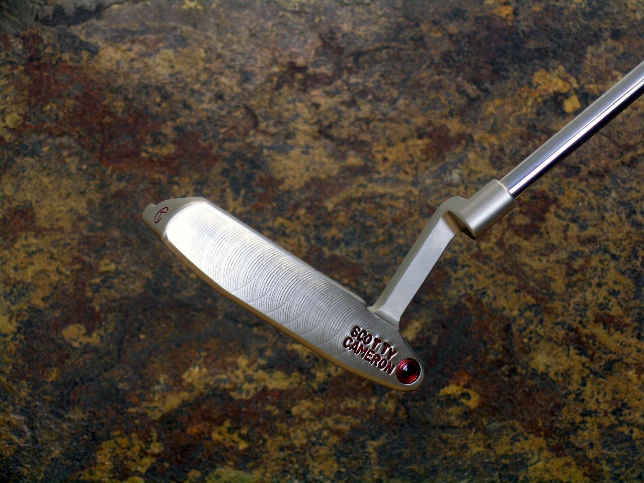 A005469, photo 1