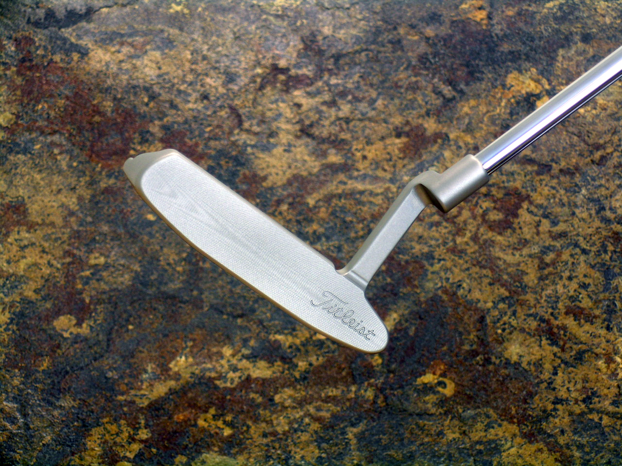 A005500, photo 1