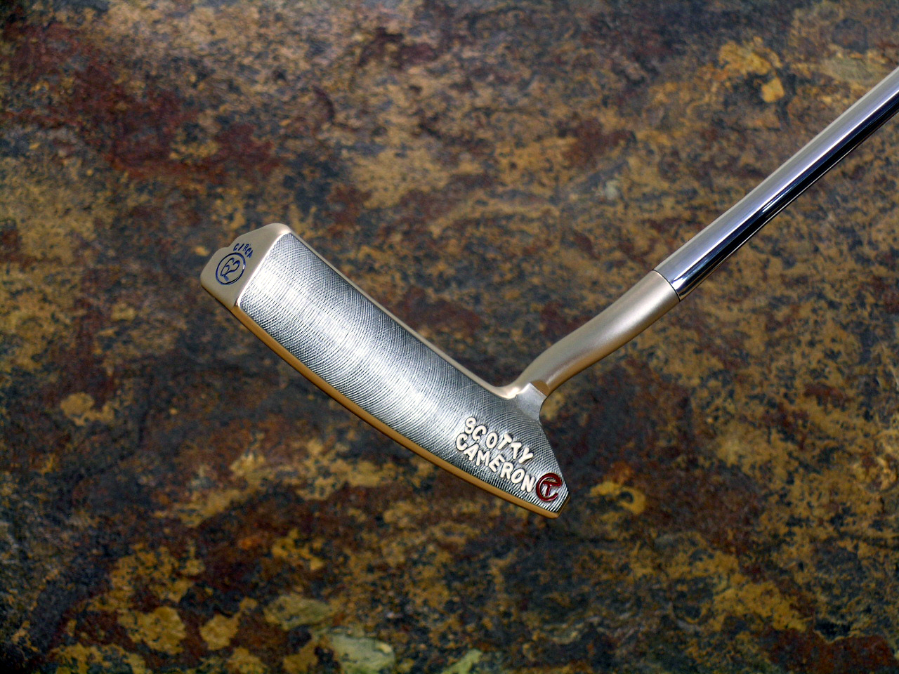 A005570, photo 1