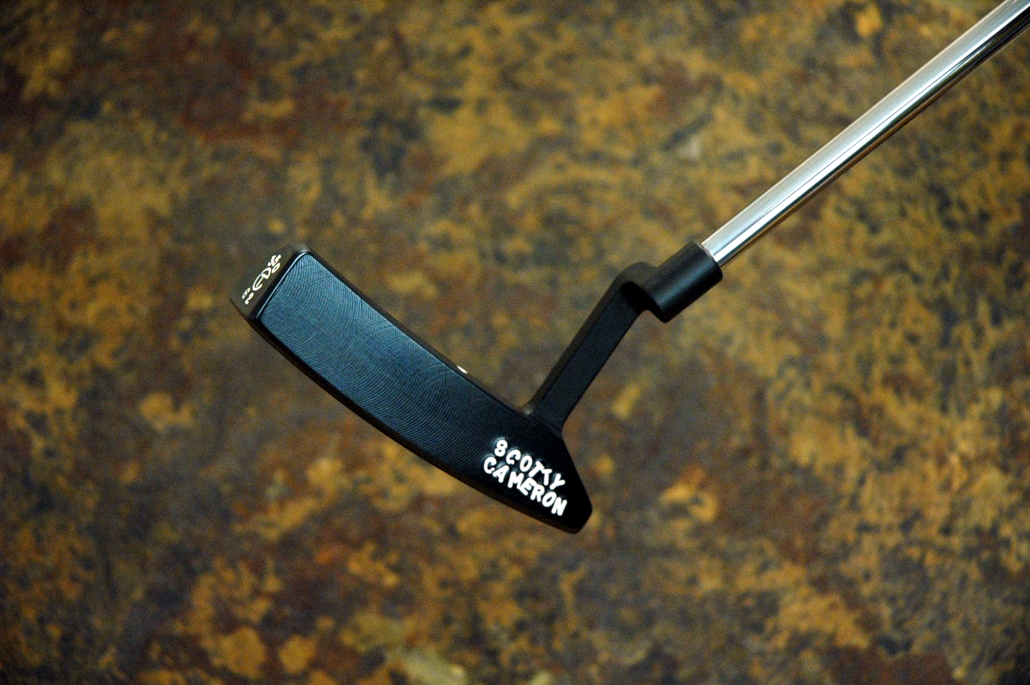A005979, photo 1