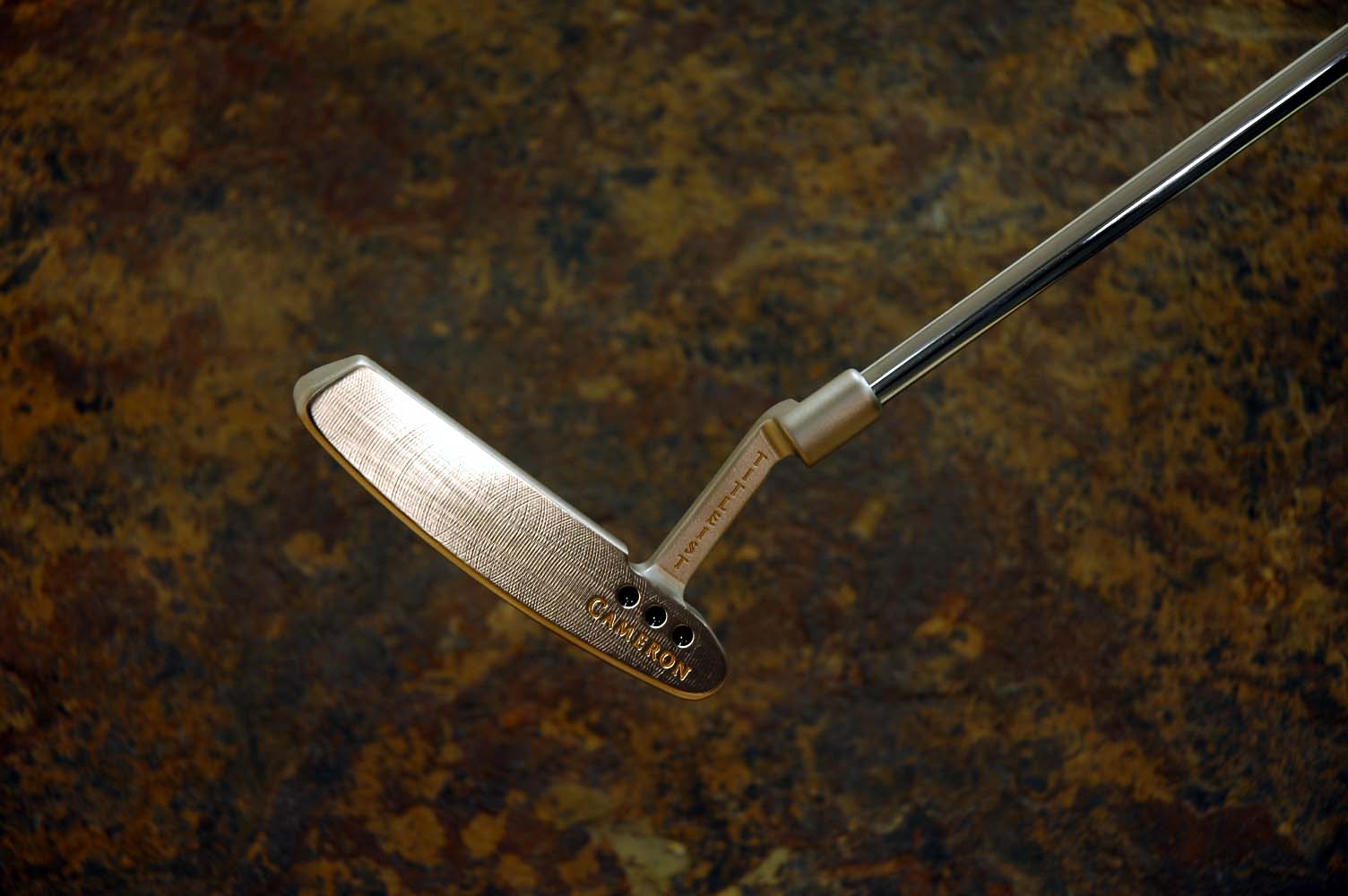 A010311, sole