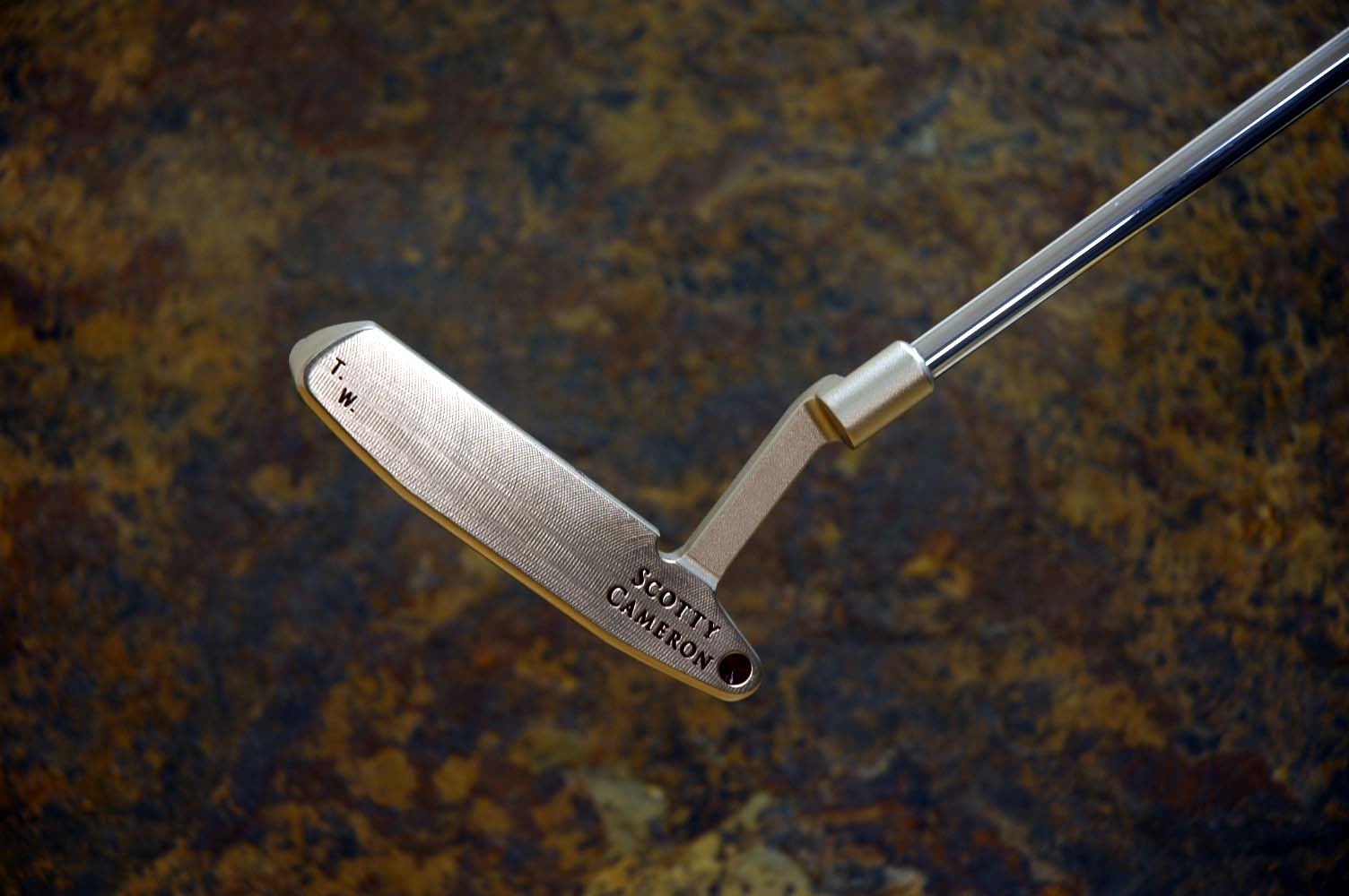A010739, sole
