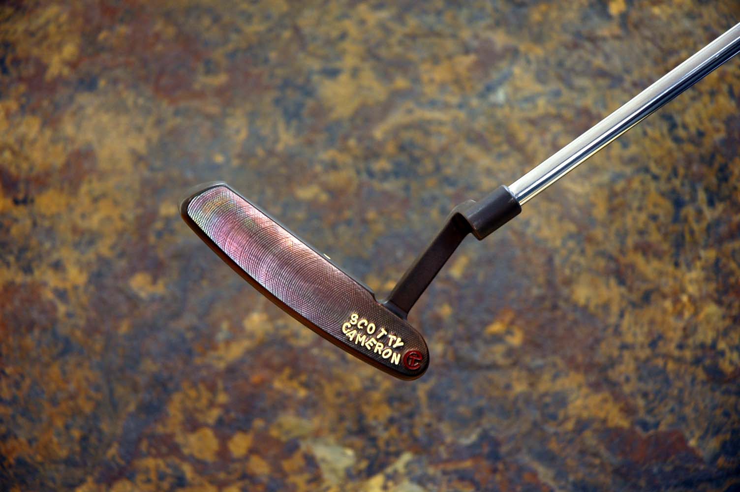 A010811, sole