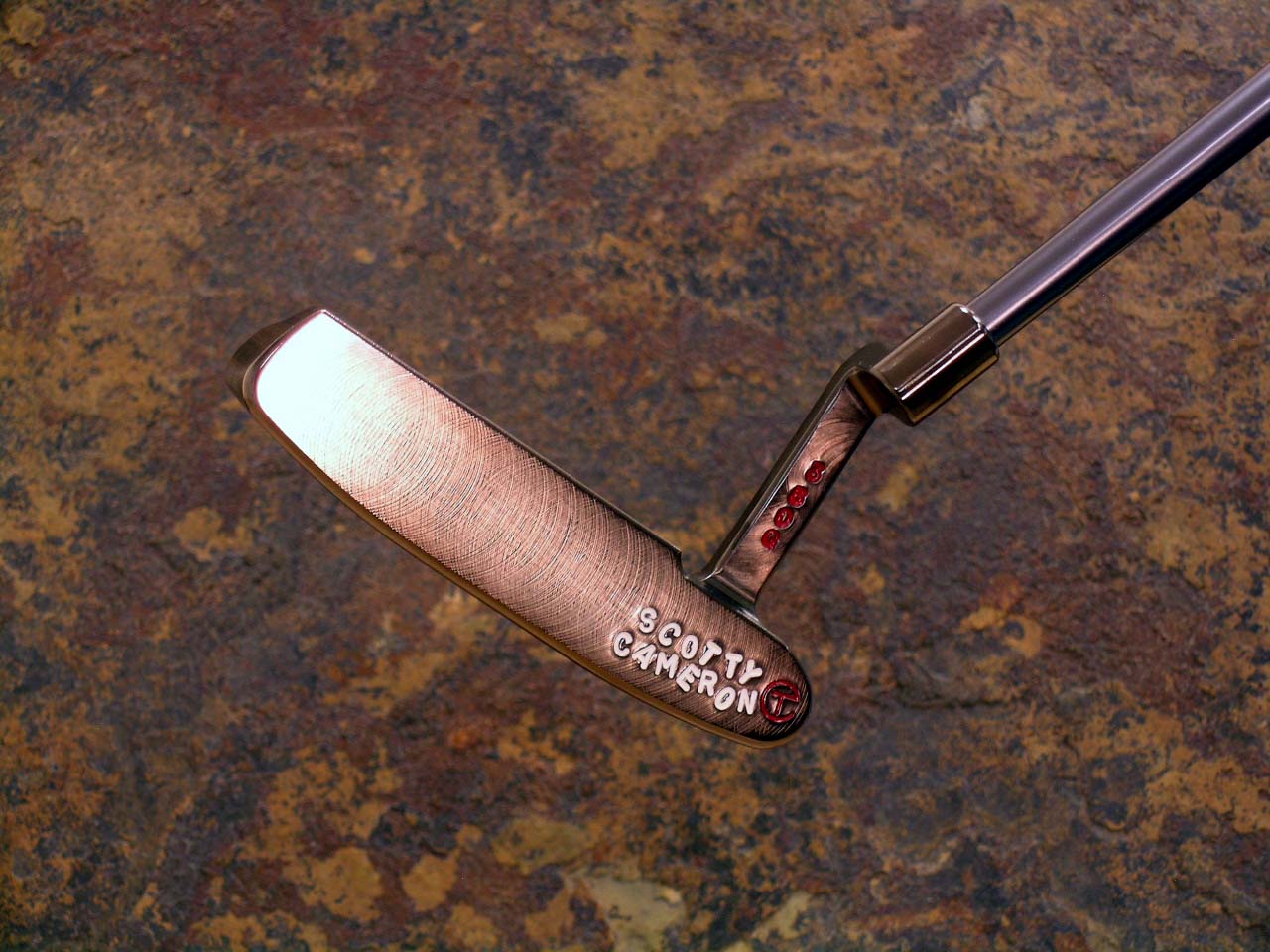 A010950, sole