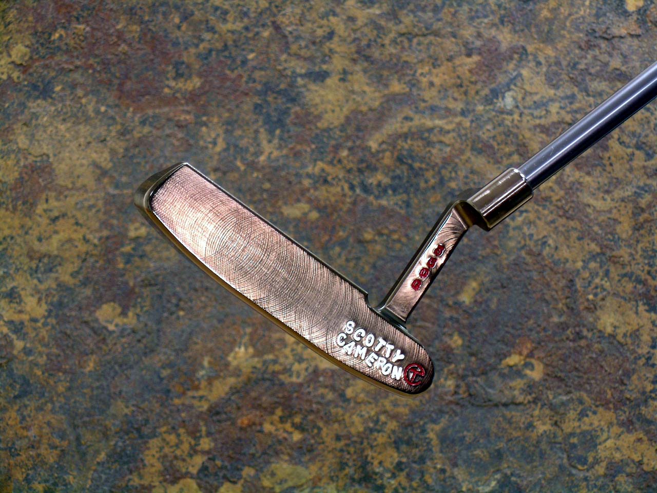 A010955, sole