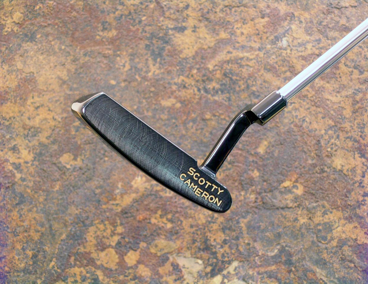 A010989, sole