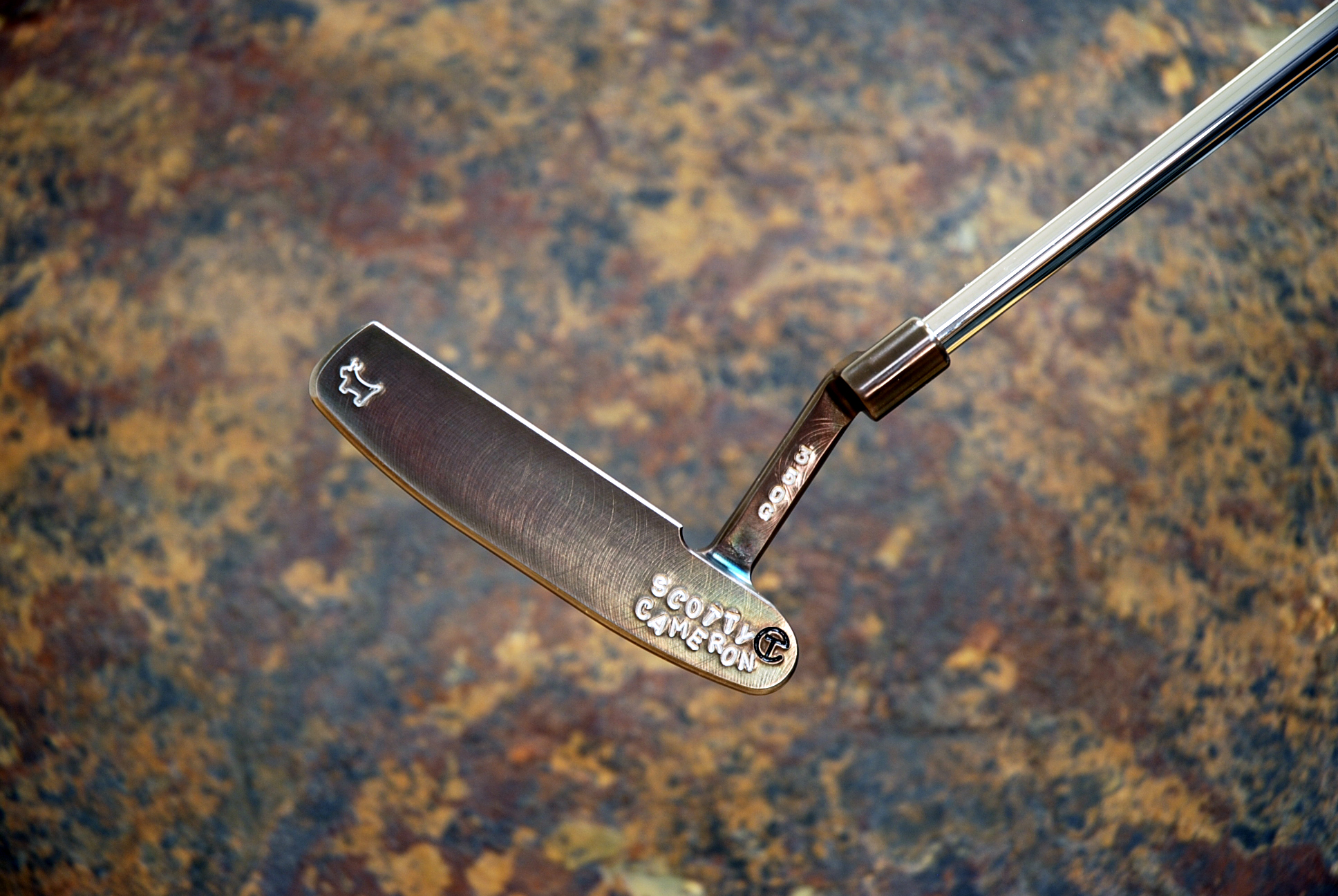 A012595, sole