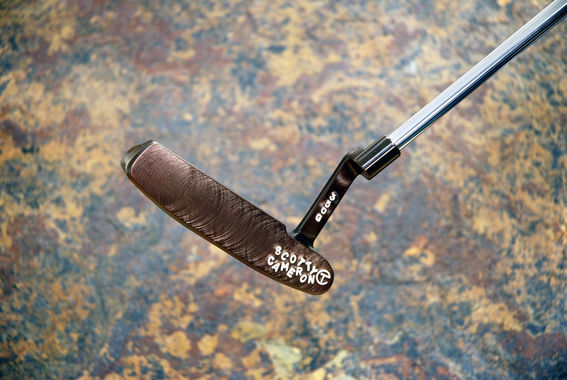 A012971, sole