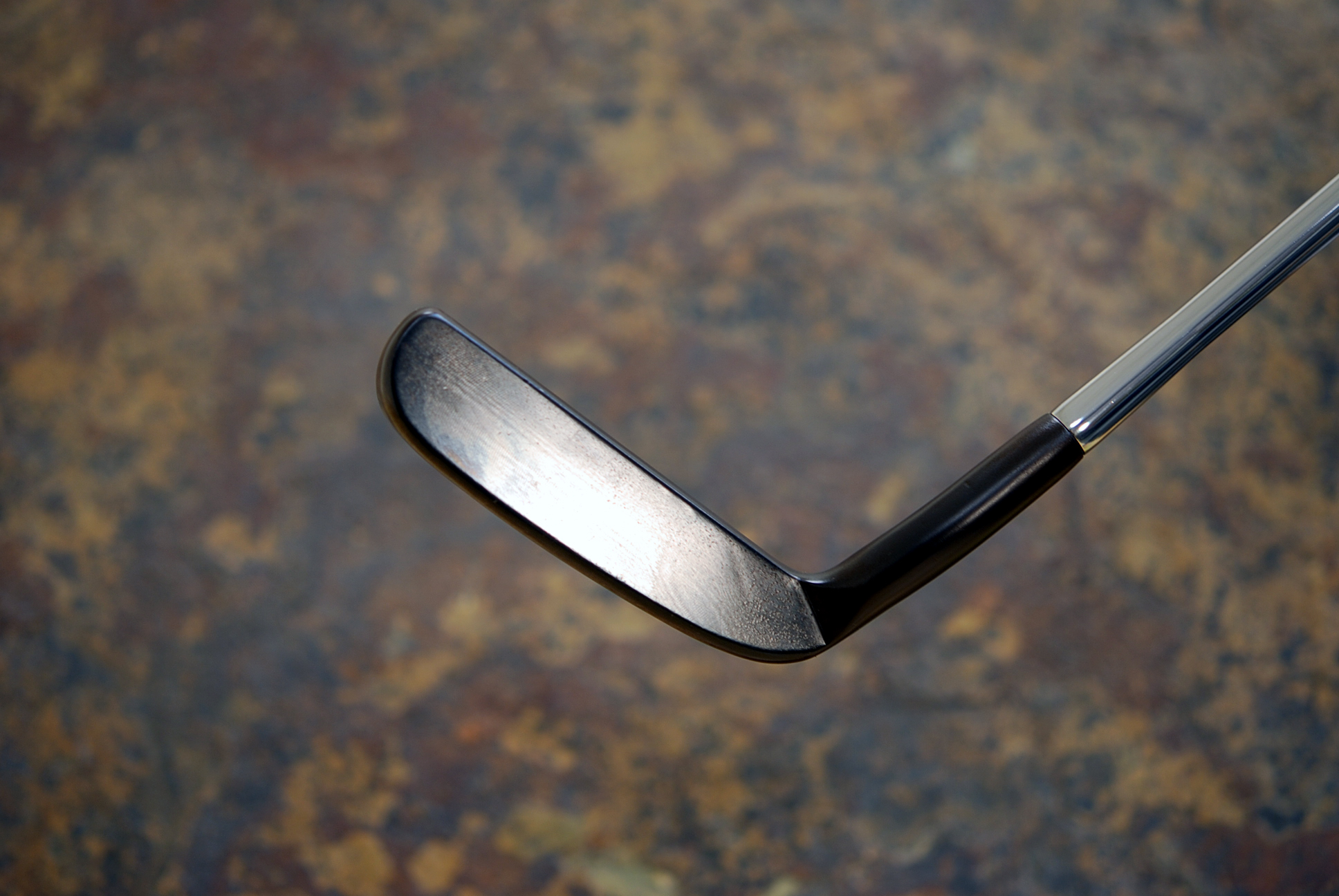 A013361, sole
