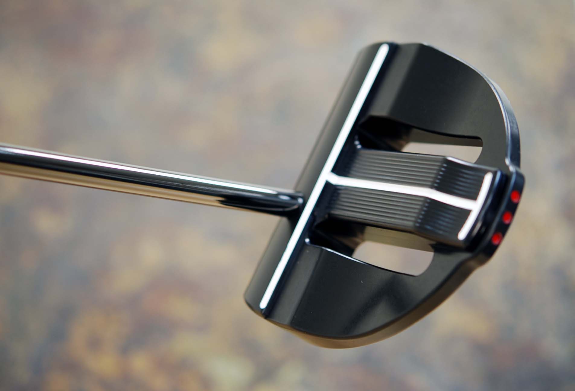 A013702, back