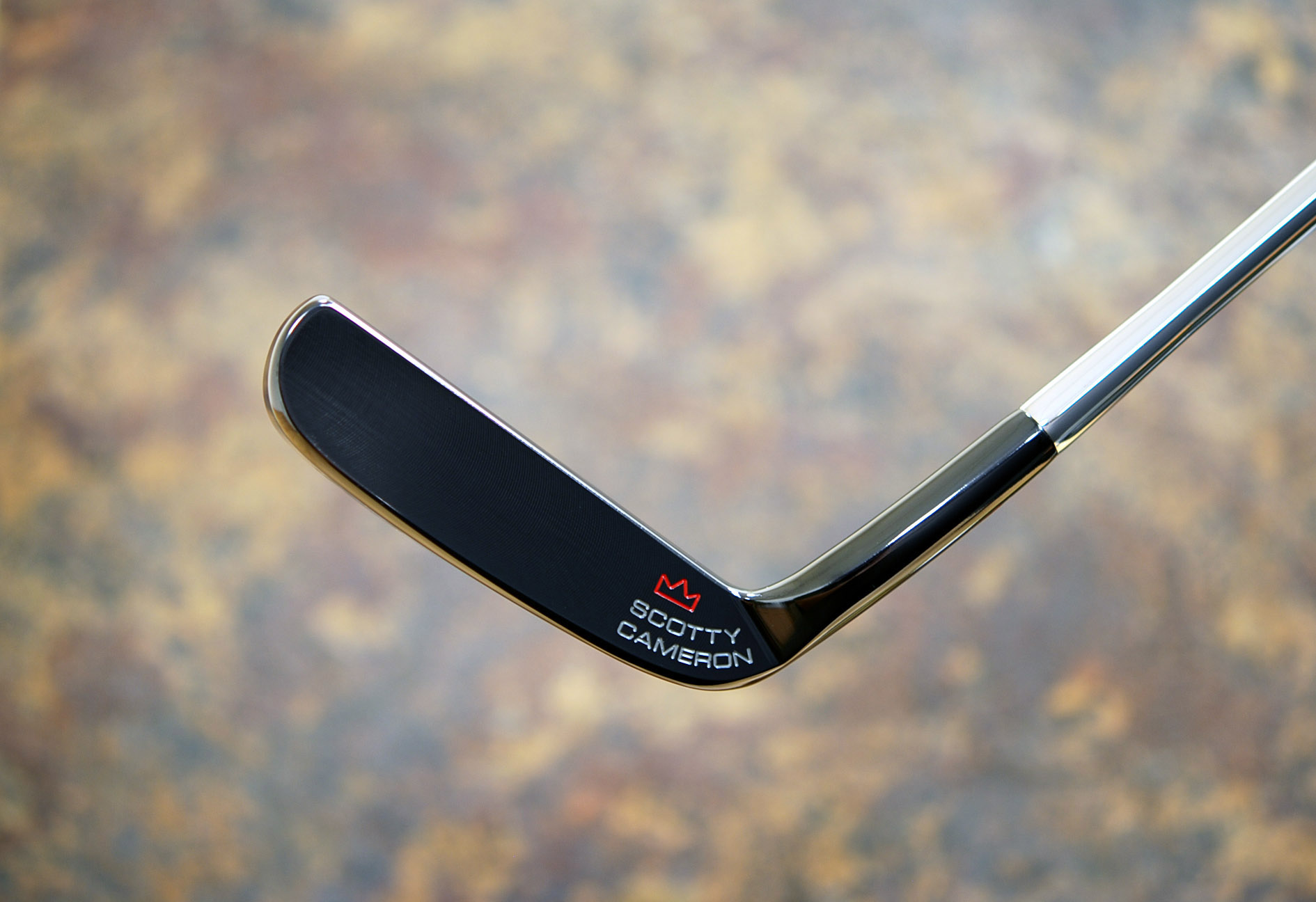 A014537, sole