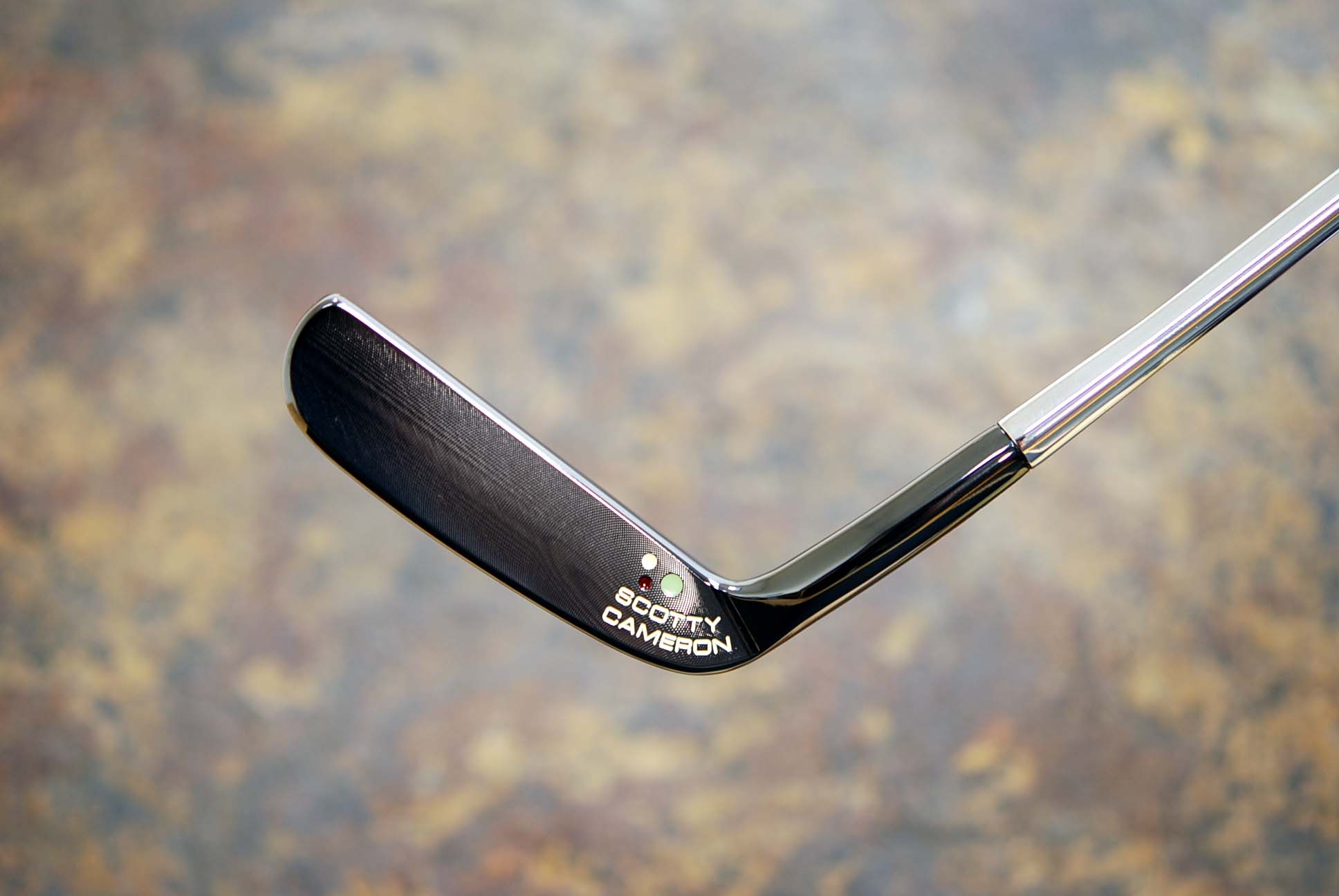 A015379, sole
