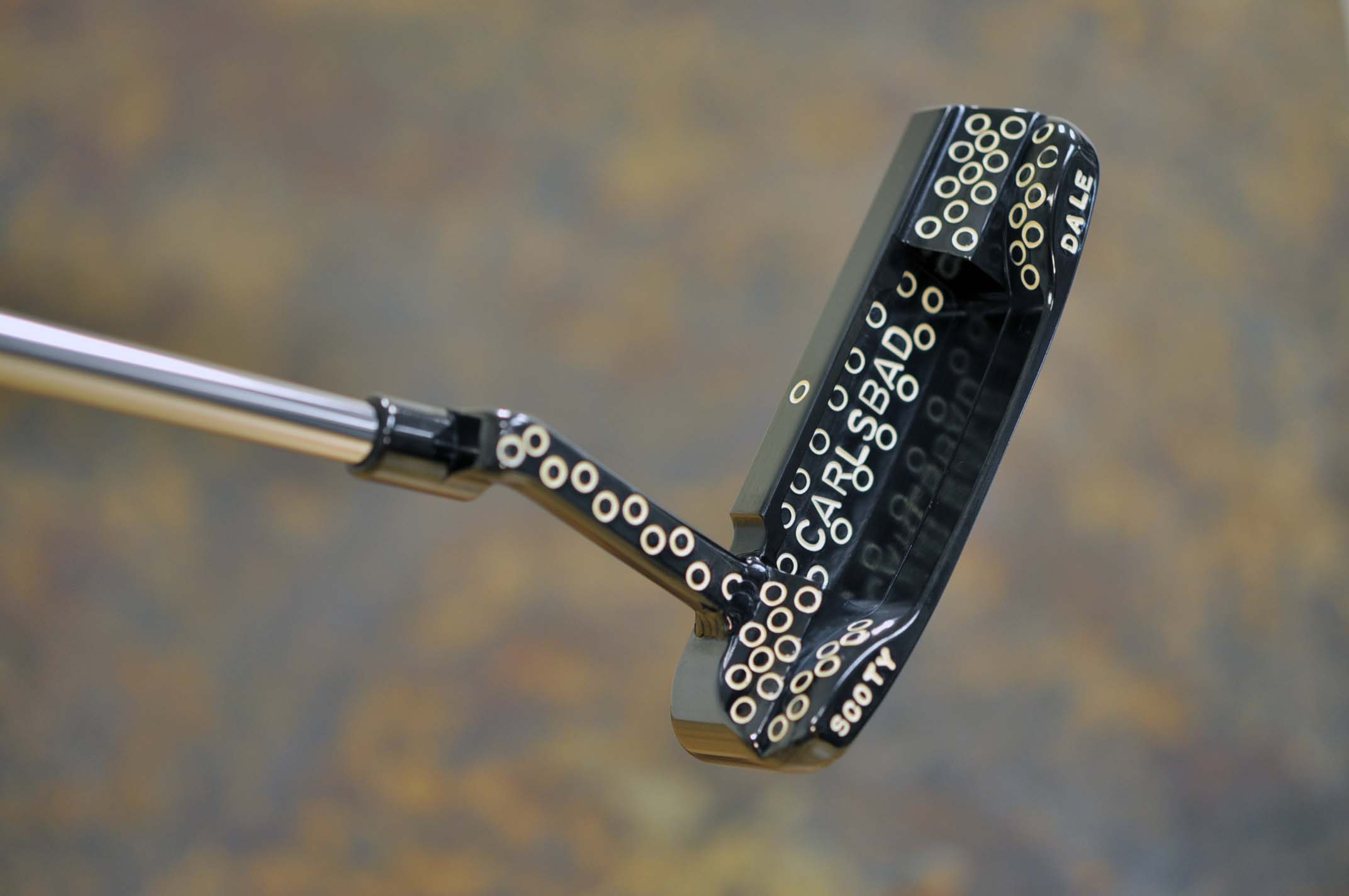 A016210, back