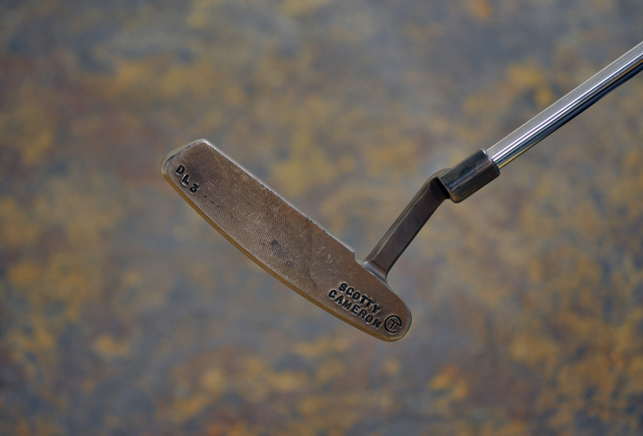 A016425, sole
