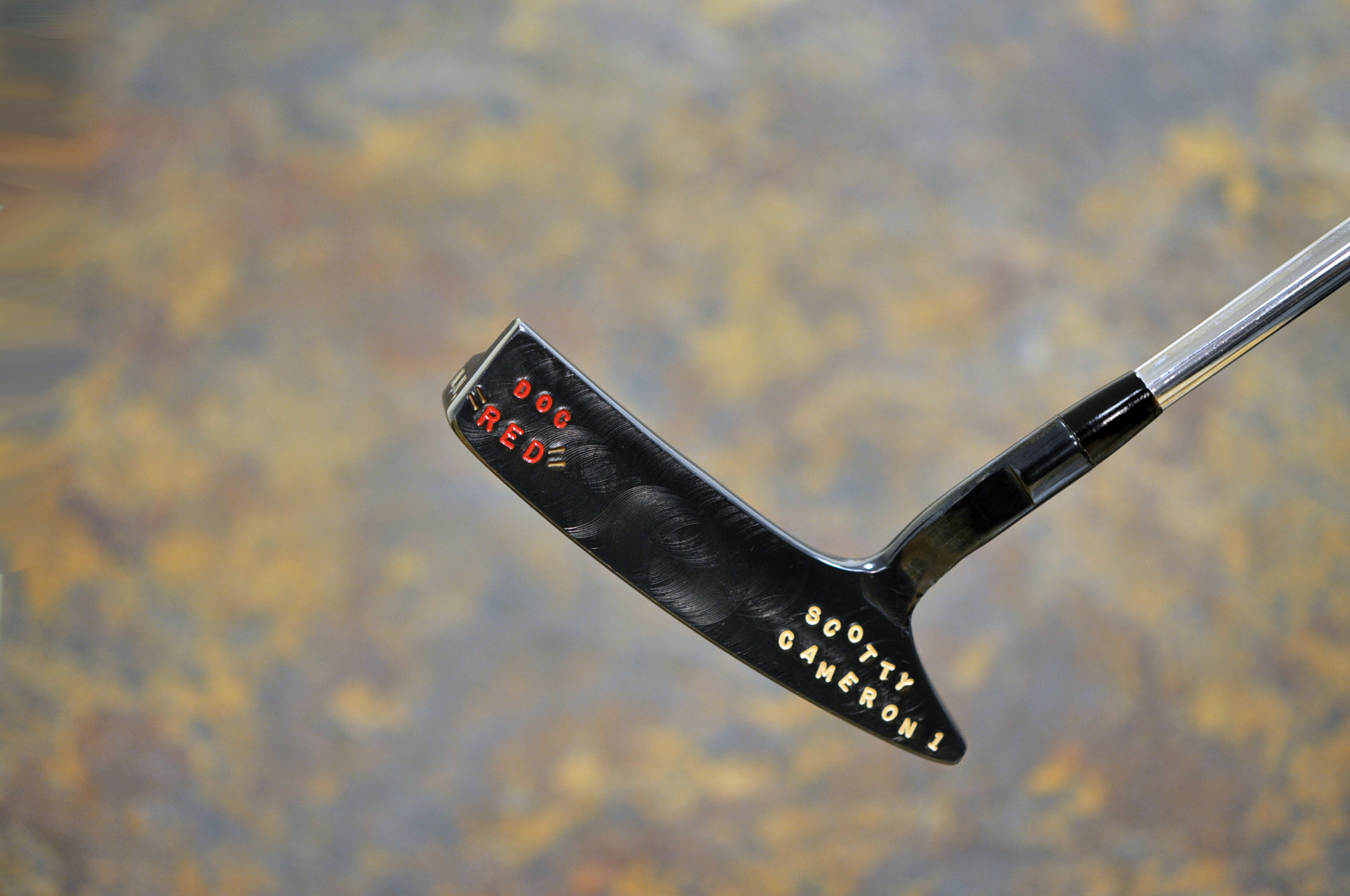 A016508, sole