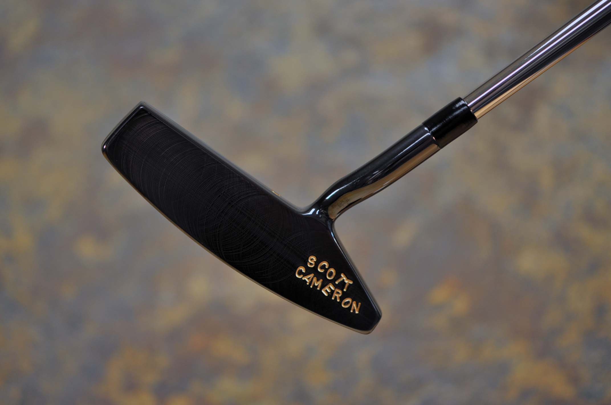 A016762, sole
