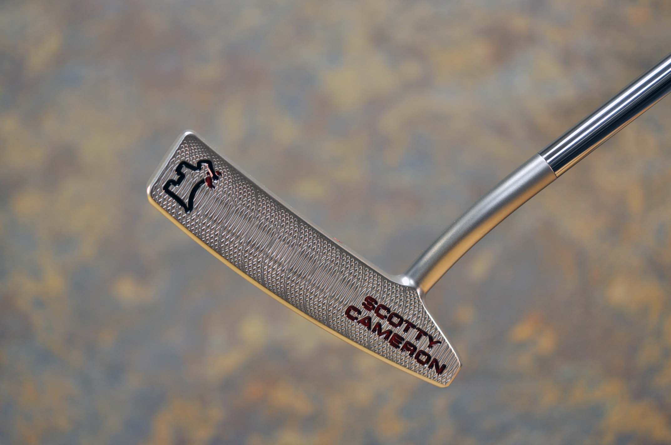 A016797, sole