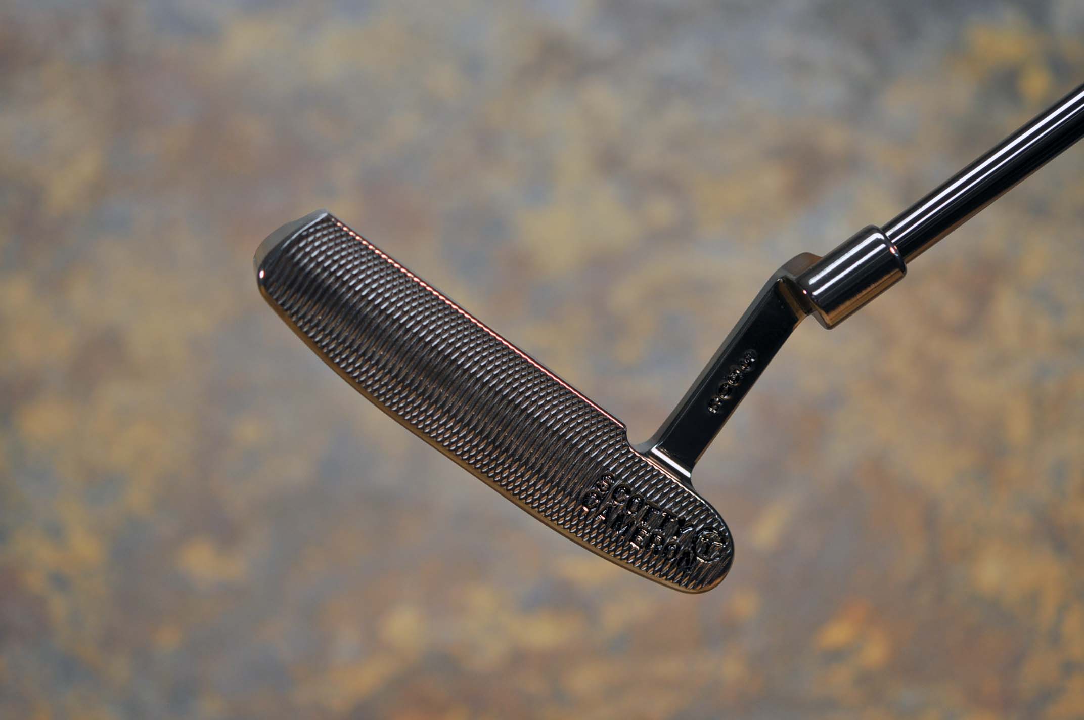 A016828, sole