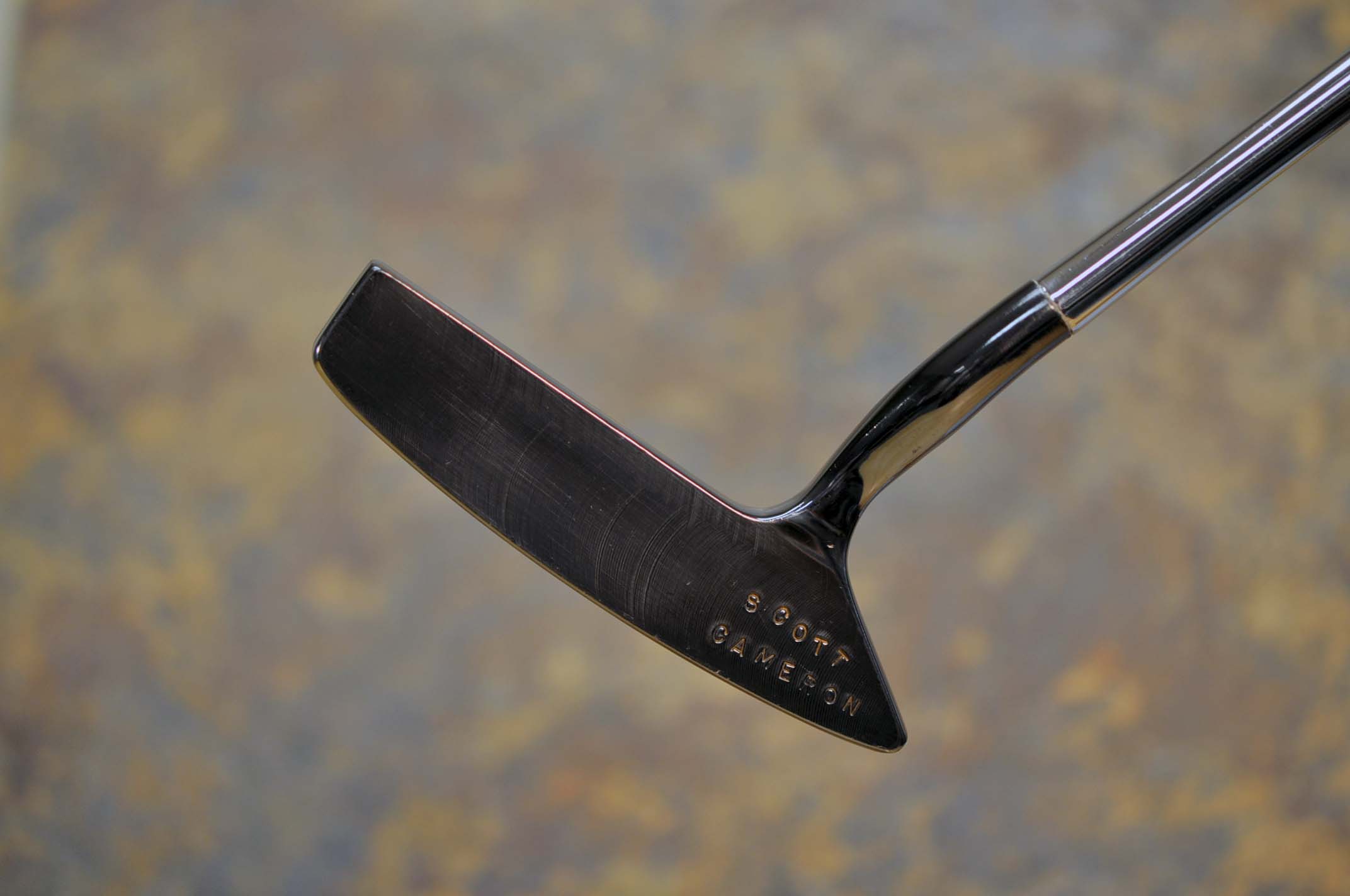 A016905, sole