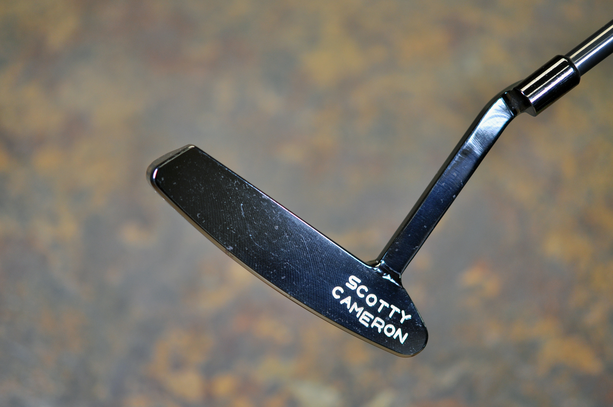 A017202, sole