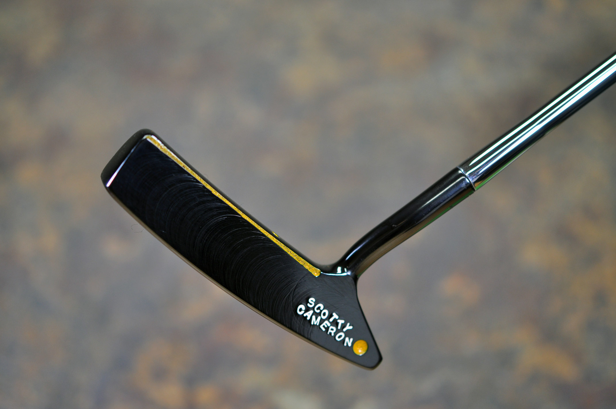 A017318, sole