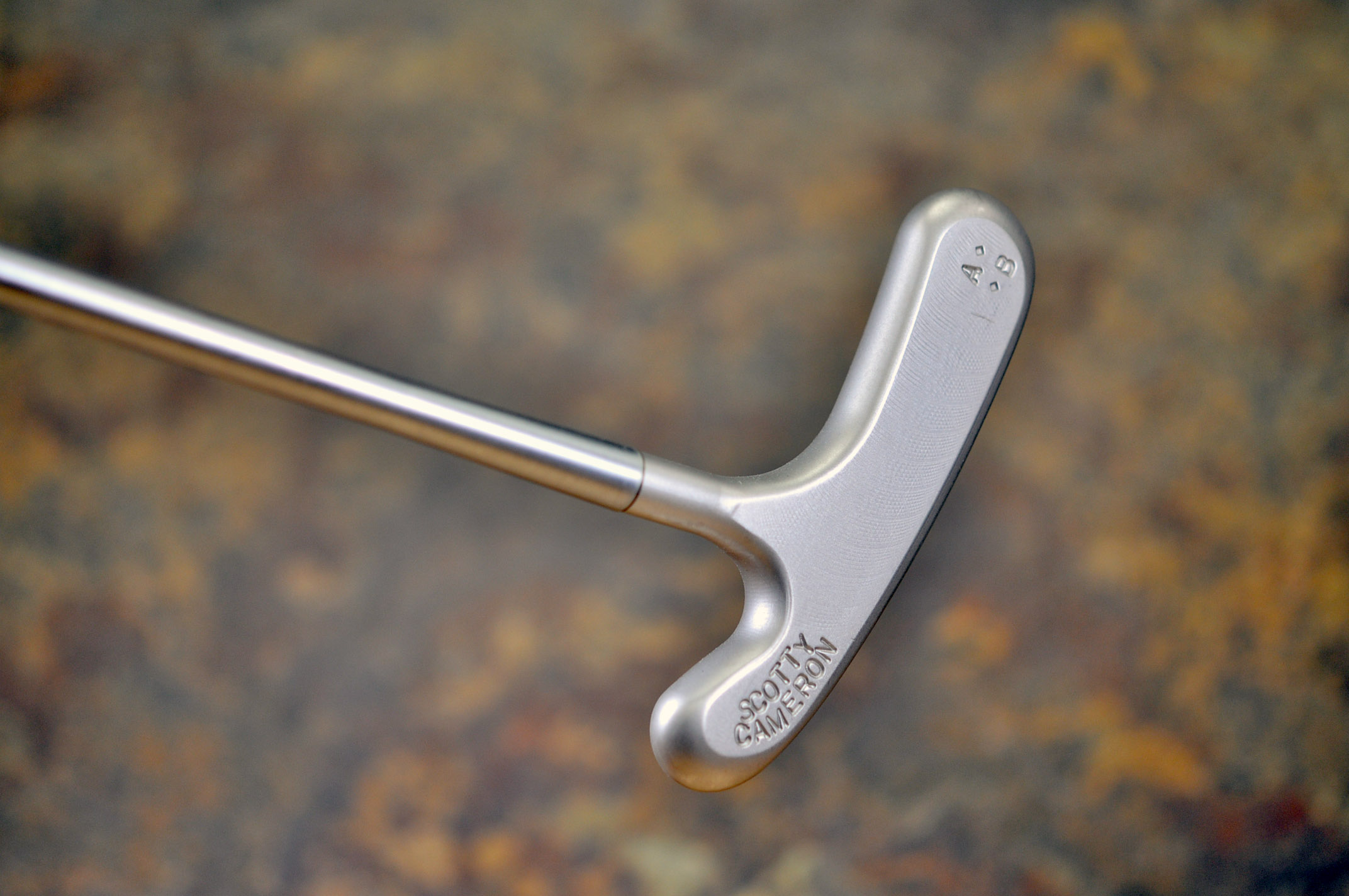 A017901, back