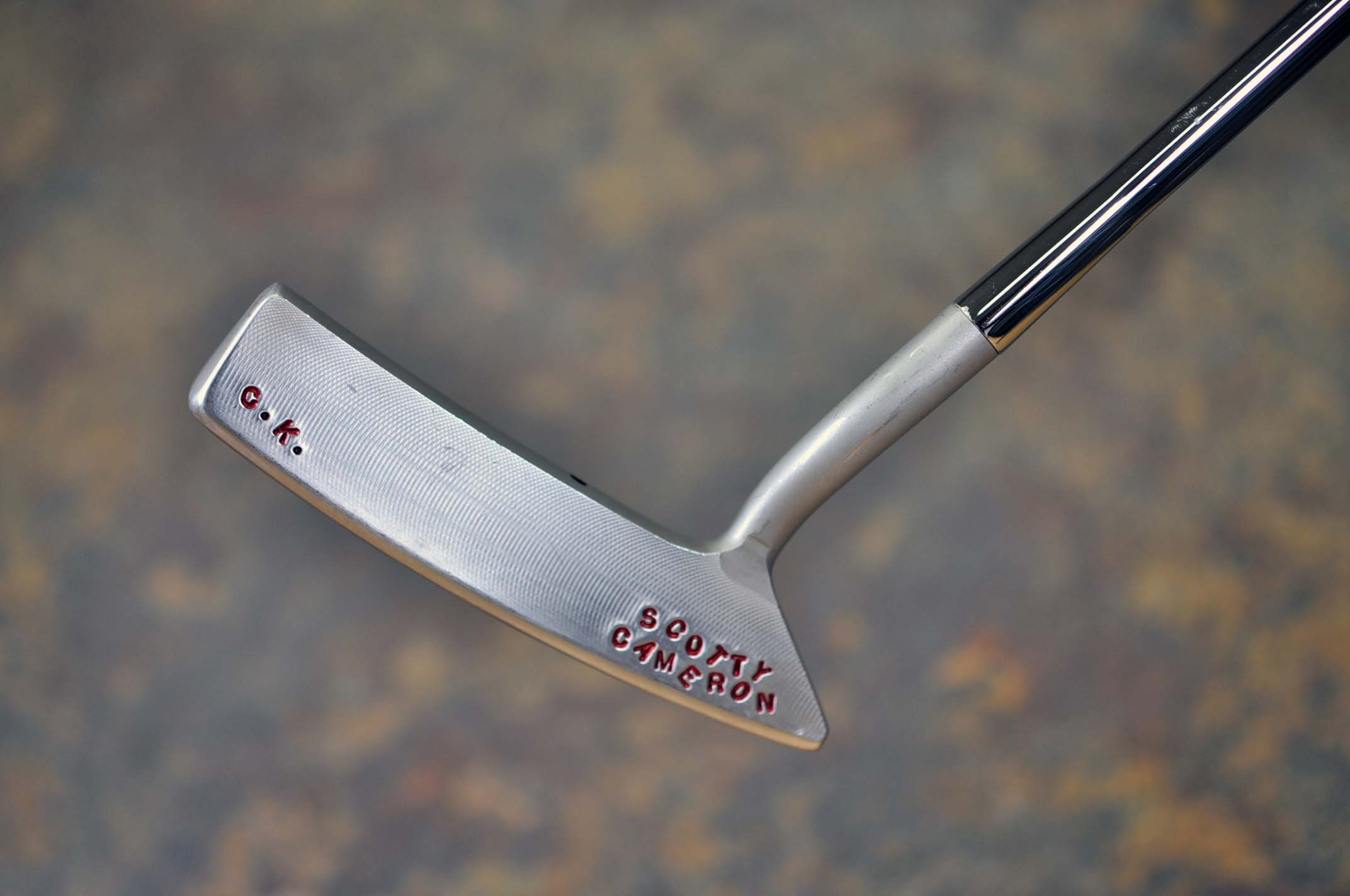 A018341, sole