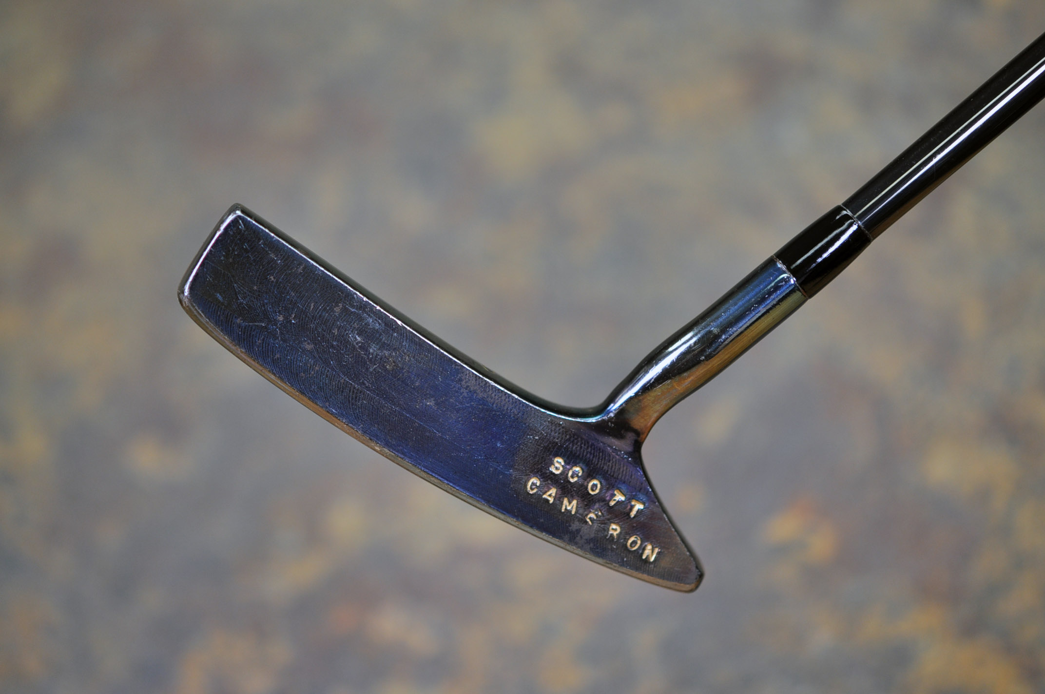 A018432, sole