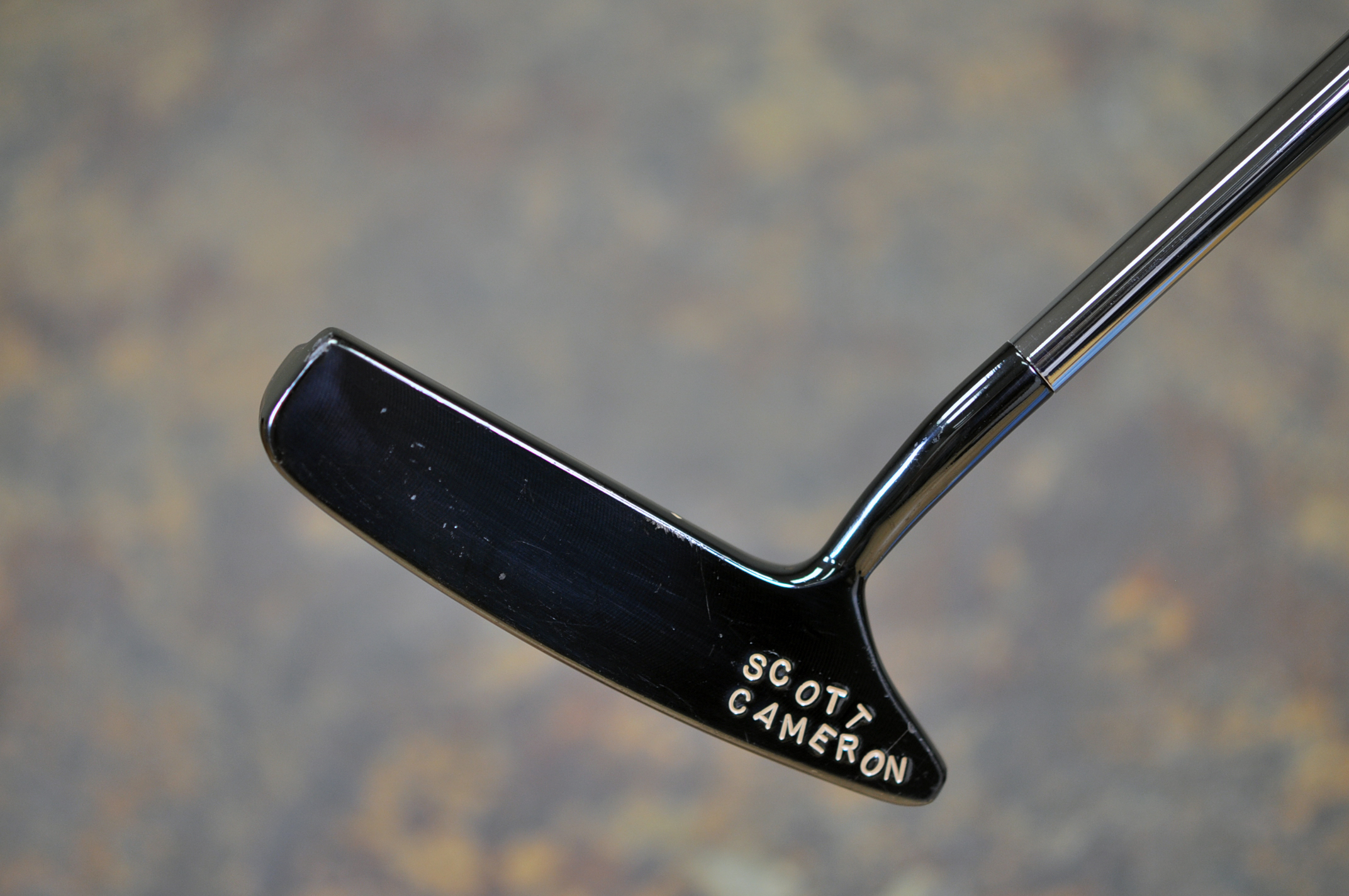 A018751, sole