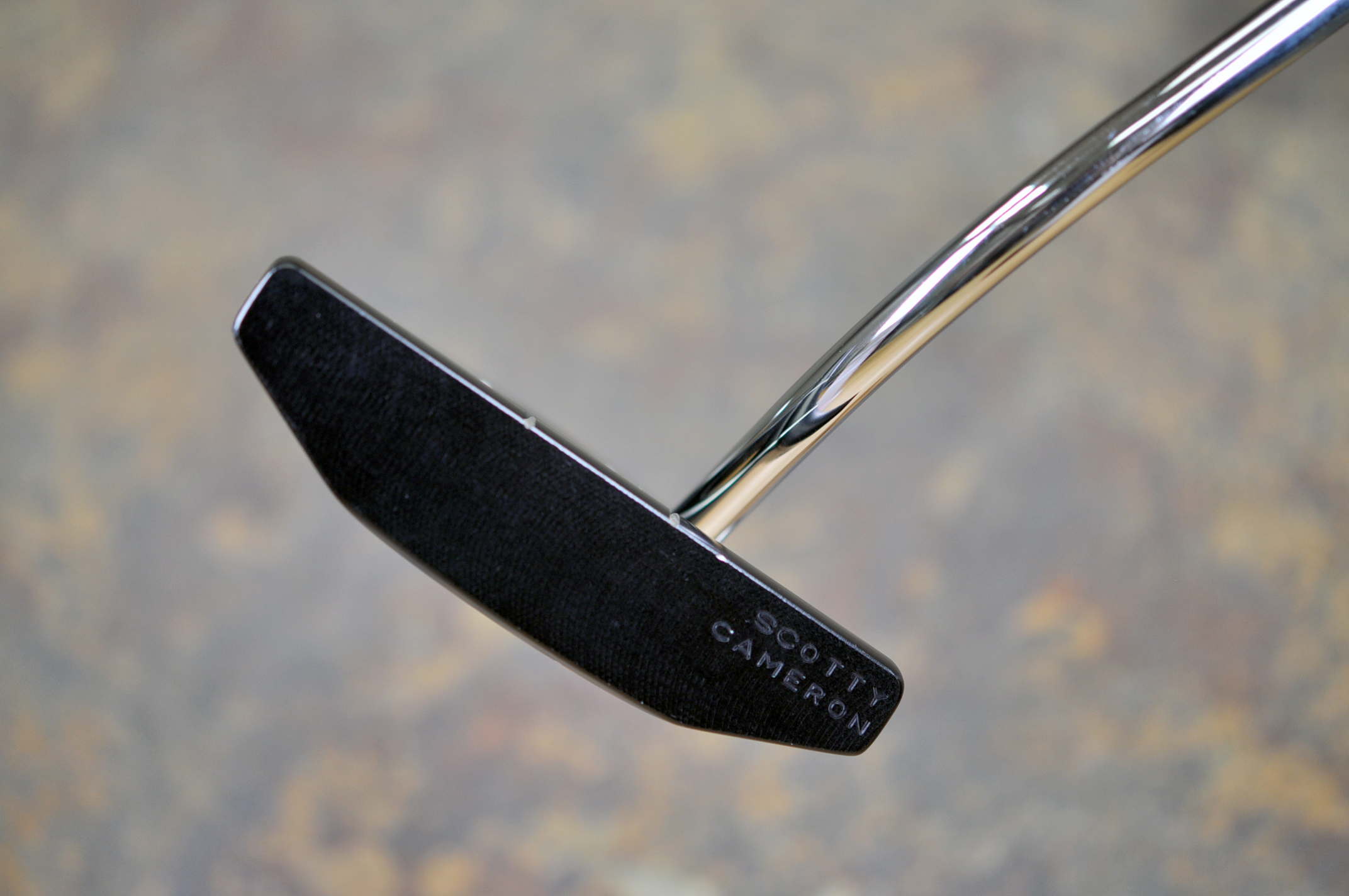 A018829, sole