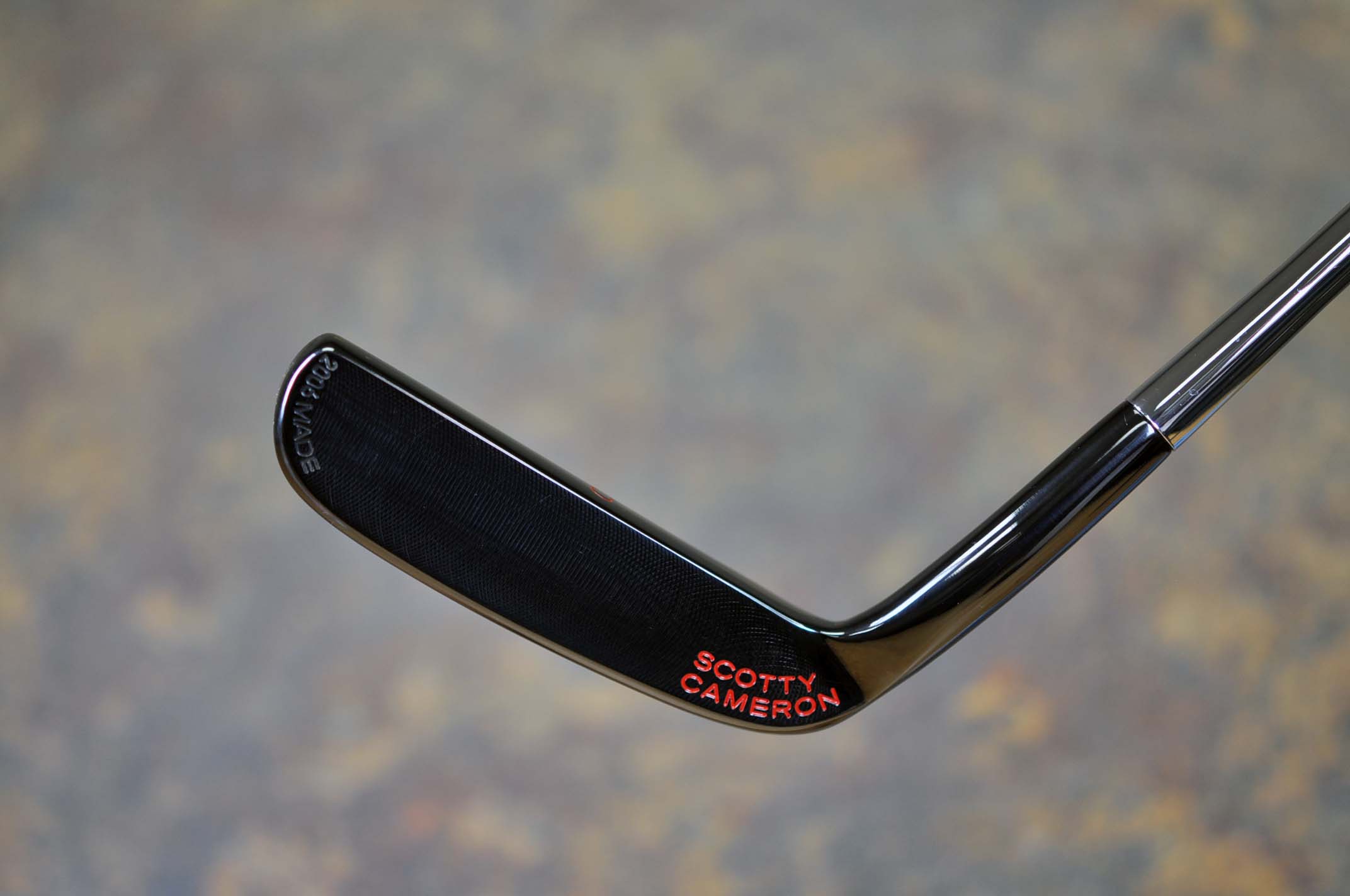 A019079, sole
