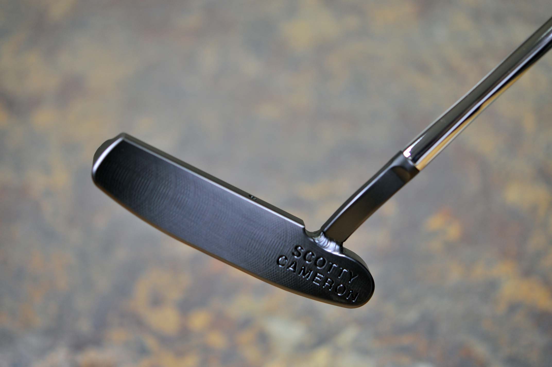 A019271, sole