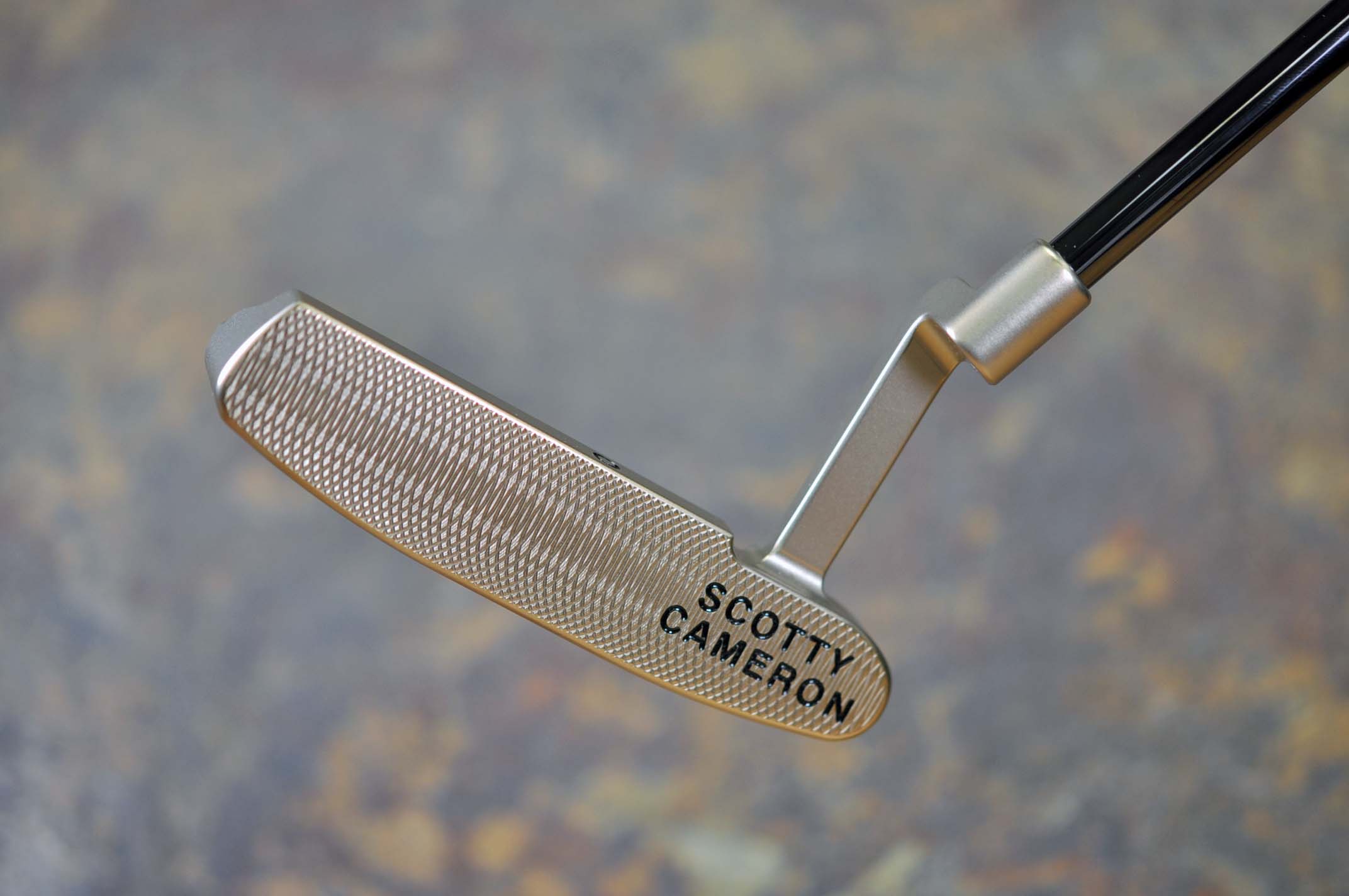 A019535, sole