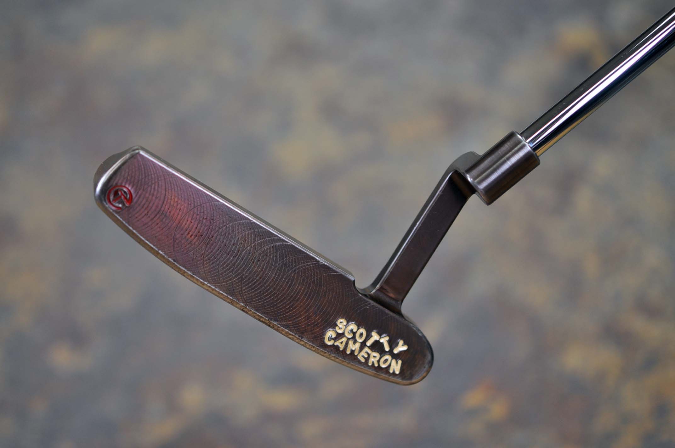 A019570, sole