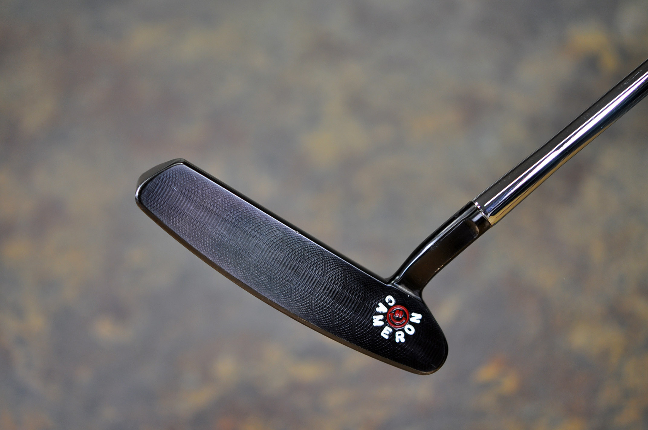A019587, sole