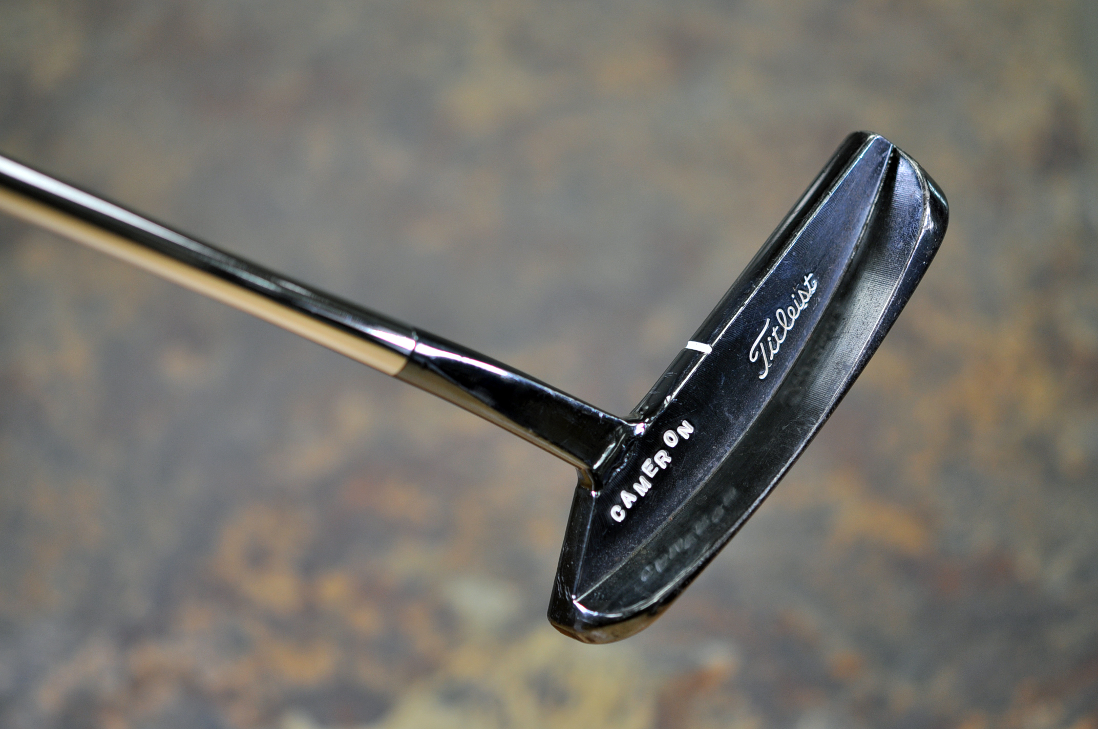 A019594, back