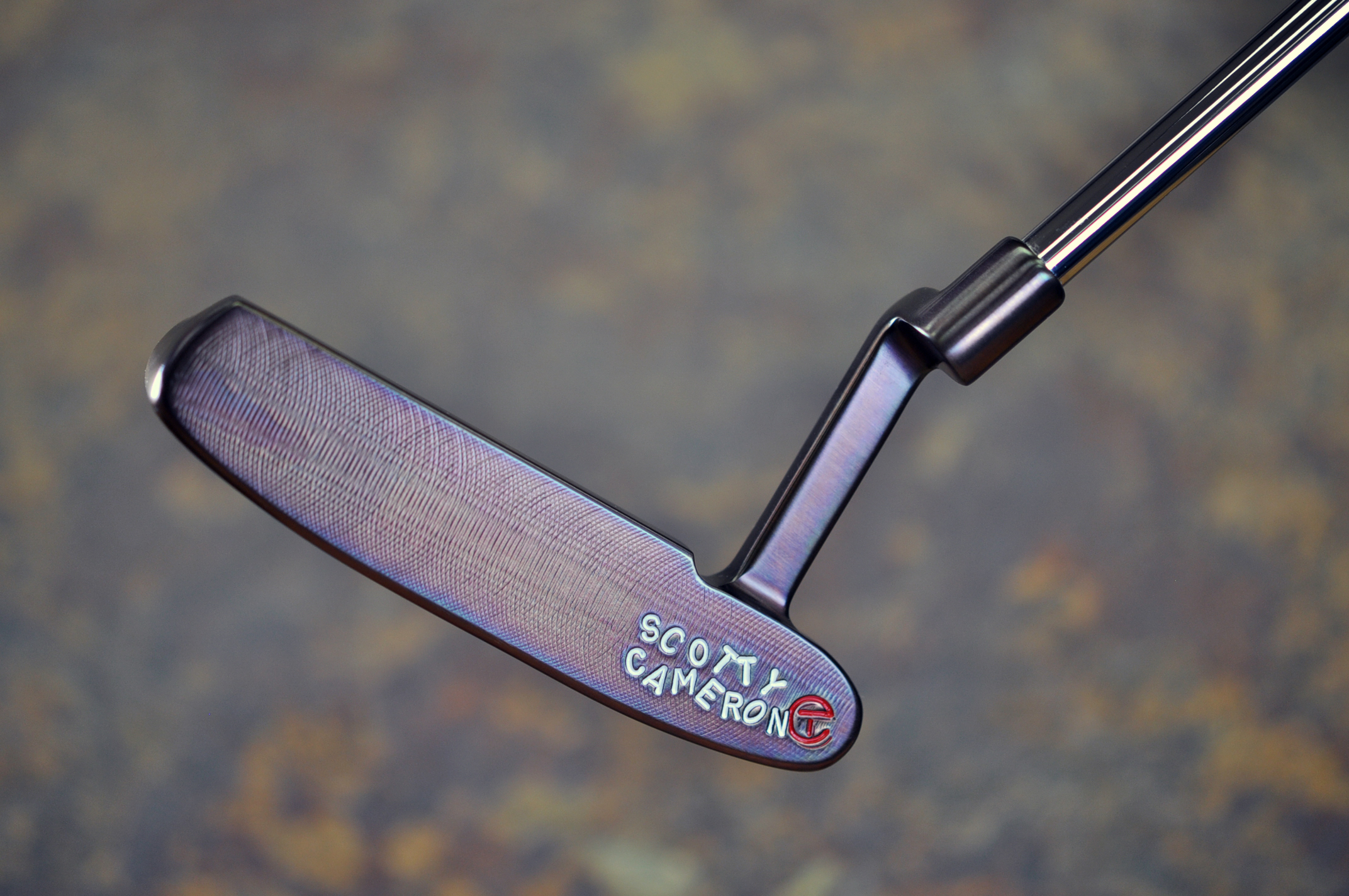 A019956, sole