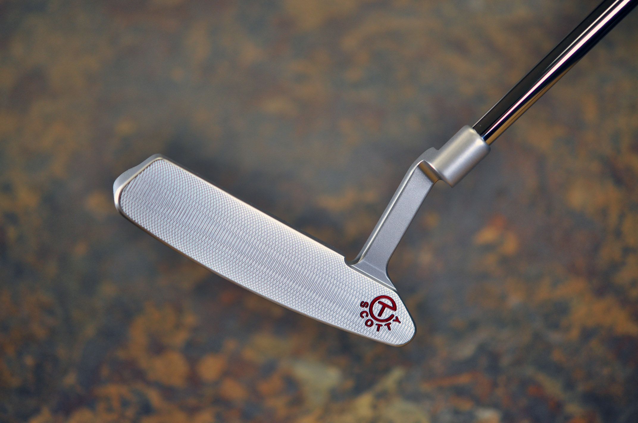 A020860, sole