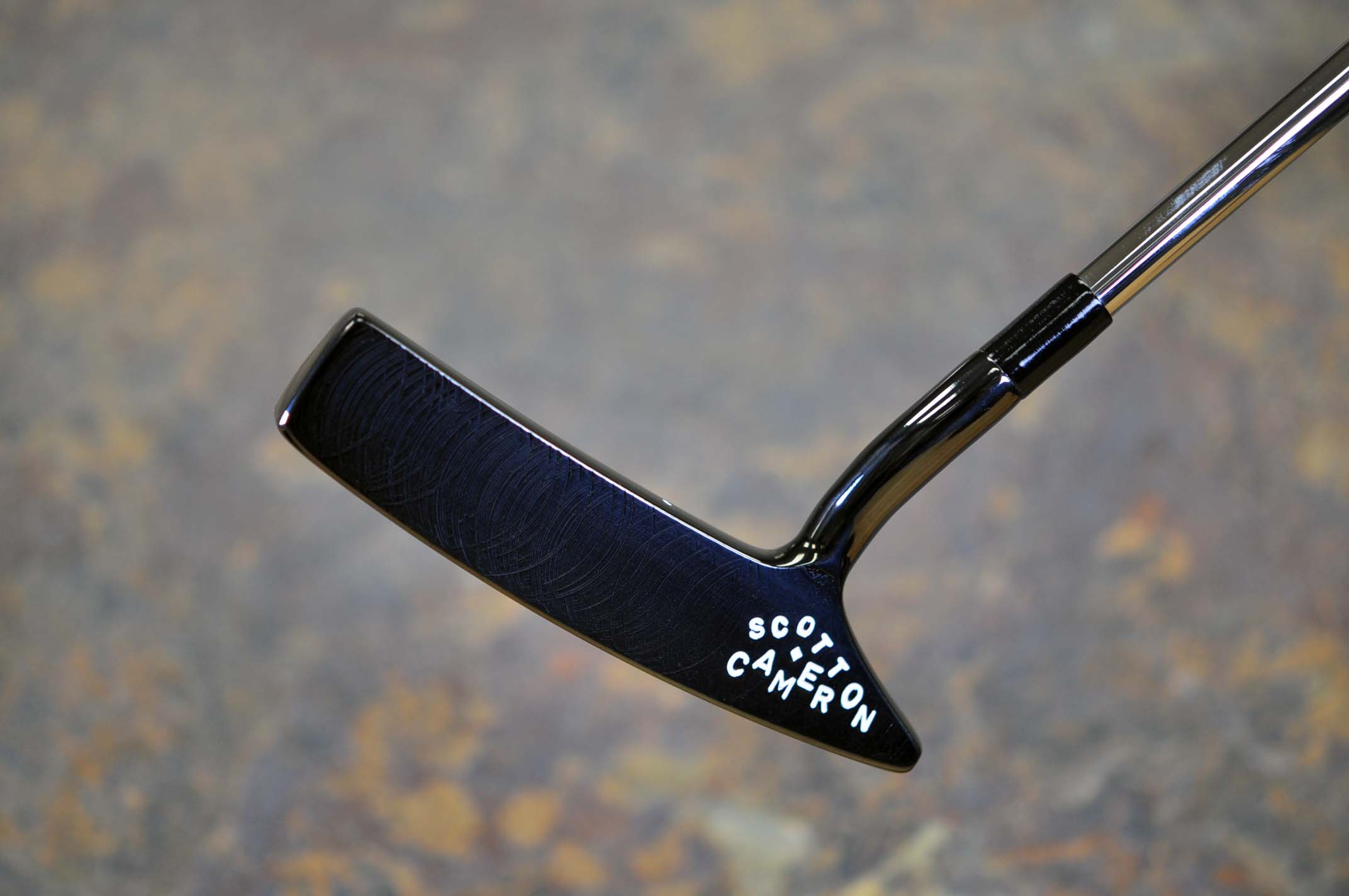 A020989, sole