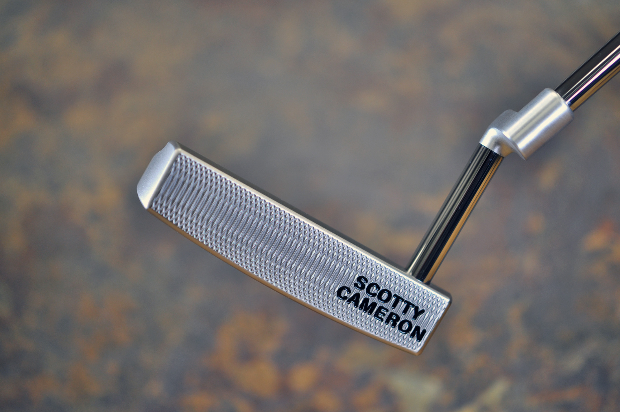 A021823, sole