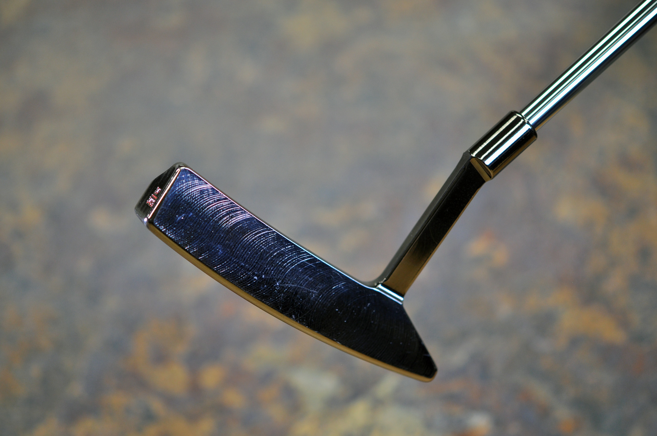 A021928, sole