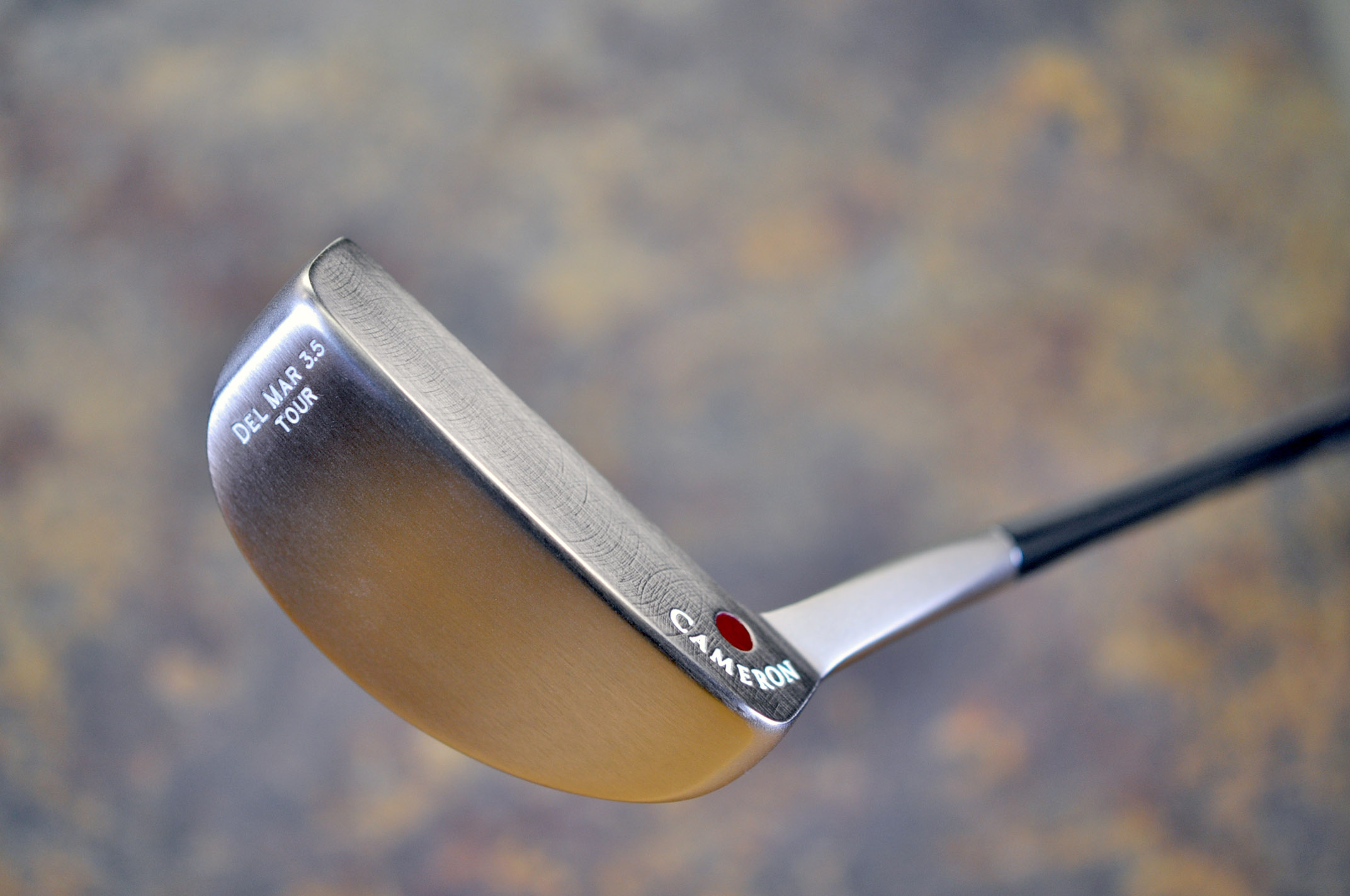 A022704, sole
