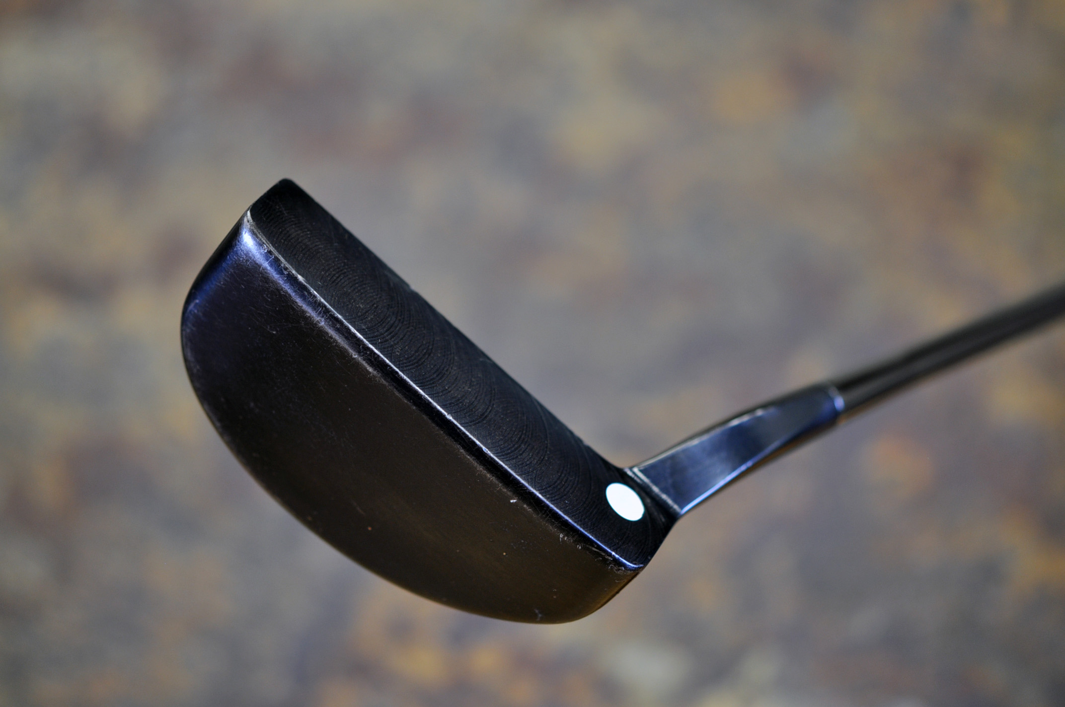 A022792, sole