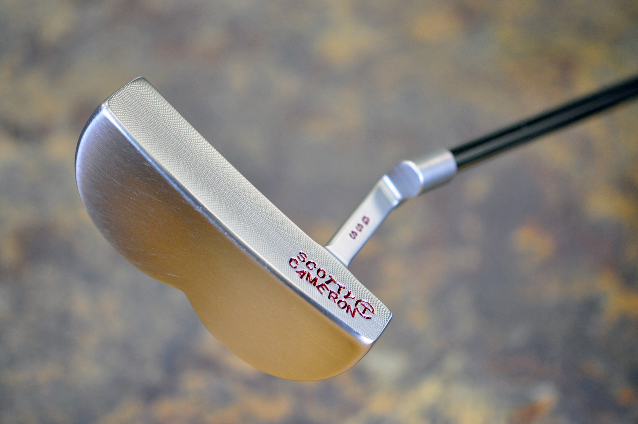 A023544, sole