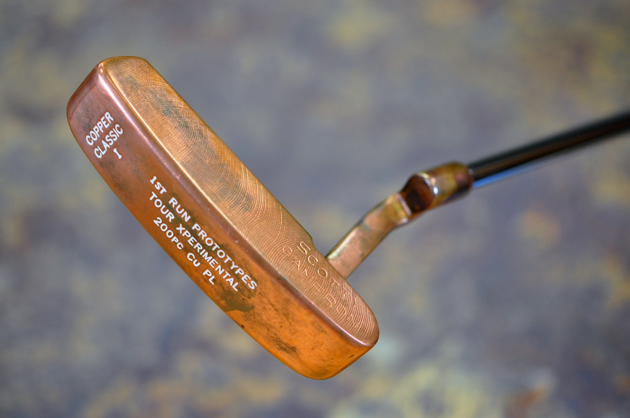 A023629, sole