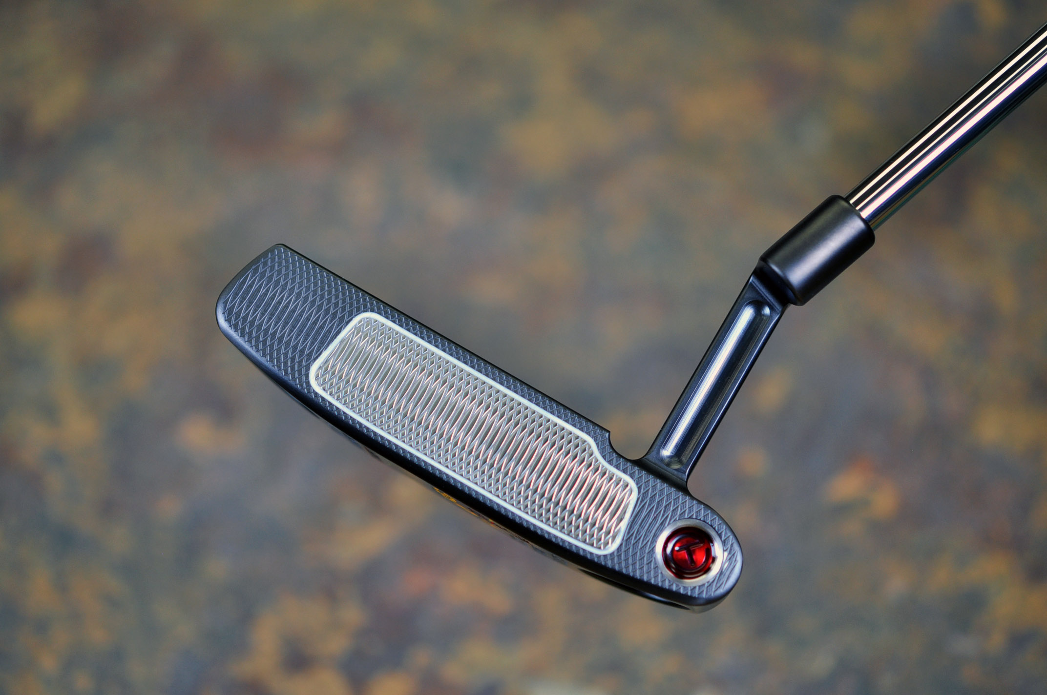 A023777, face