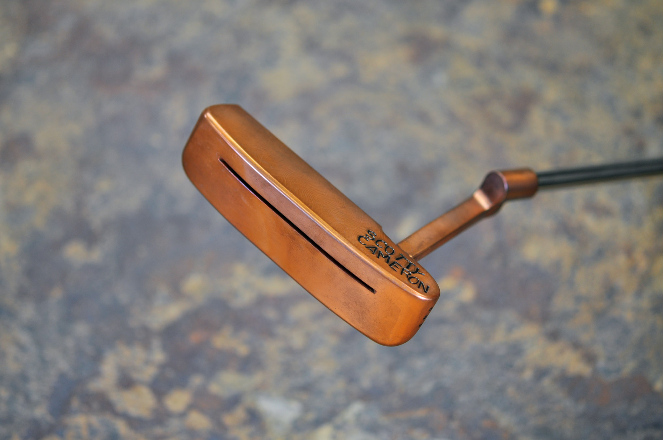 A023816, sole